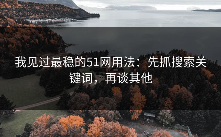 我见过最稳的51网用法:先抓搜索关键词,再谈其他