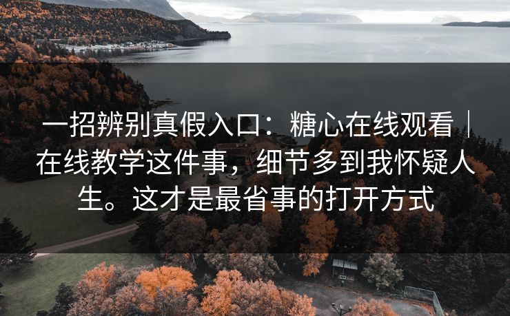 一招辨别真假入口：糖心在线观看｜在线教学这件事，细节多到我怀疑人生。这才是最省事的打开方式